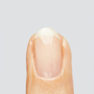 Bond Base – Hema free base coat