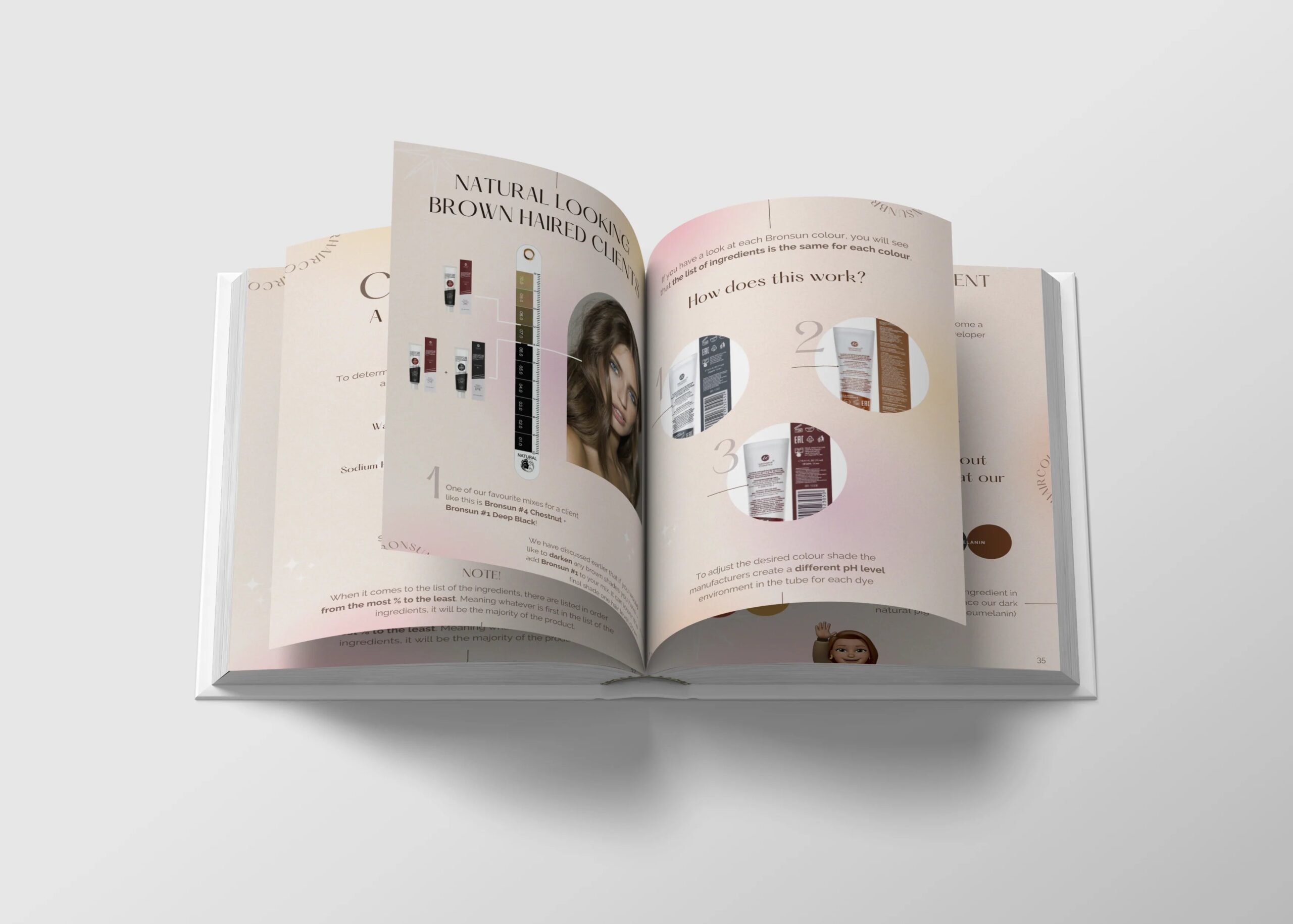 Bronsun Bible - Everything you need to know about Bronsun in a book - Image 3